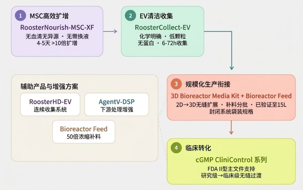 图1.Rooster完整工艺链产品介绍图