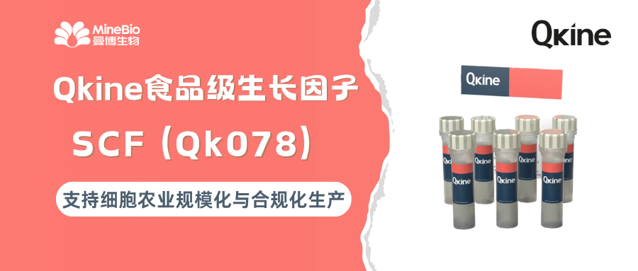 Qkine 食品级生长因子适配细胞农业供应链方案