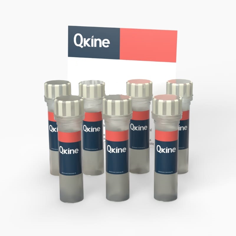 Qkine FG食品级蛋白体系