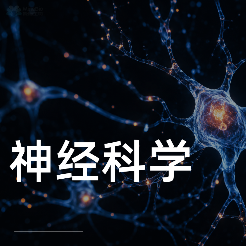 神经科学解决方案