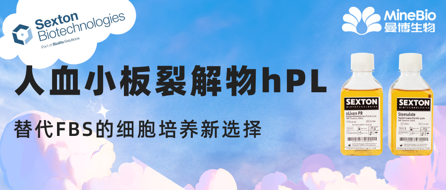 人血小板裂解液hPL:替代FBS的细胞培养新选择