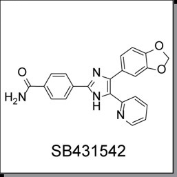 SB431542结构示意图