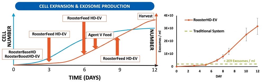 Rooster HD-EV在3D生物反应器中实现长达12天的外泌体连续生产
