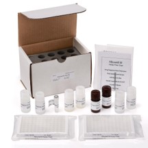 Albuwell M (Mouse Albumin ELISA)检测试剂盒，货号1011