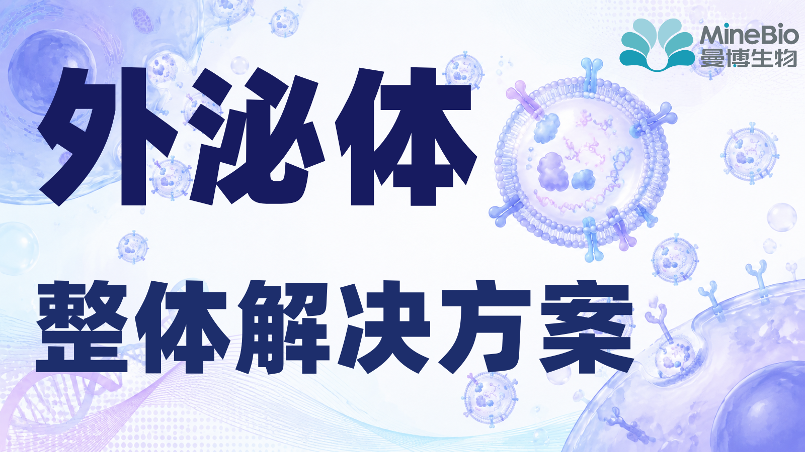 外泌体整体解决方案