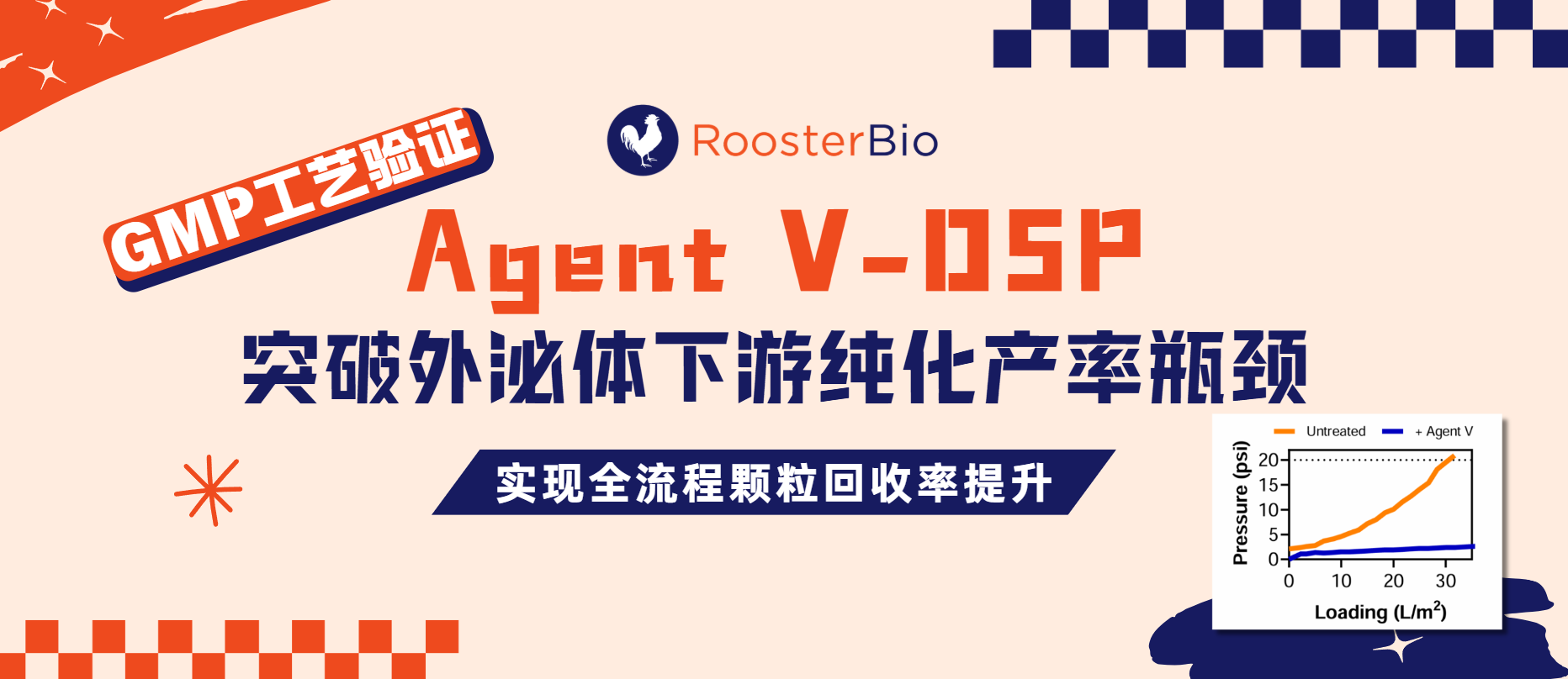 Agent V-DSP：突破外泌体下游纯化产率瓶颈&mdash;&mdash;实现EV回收率提升