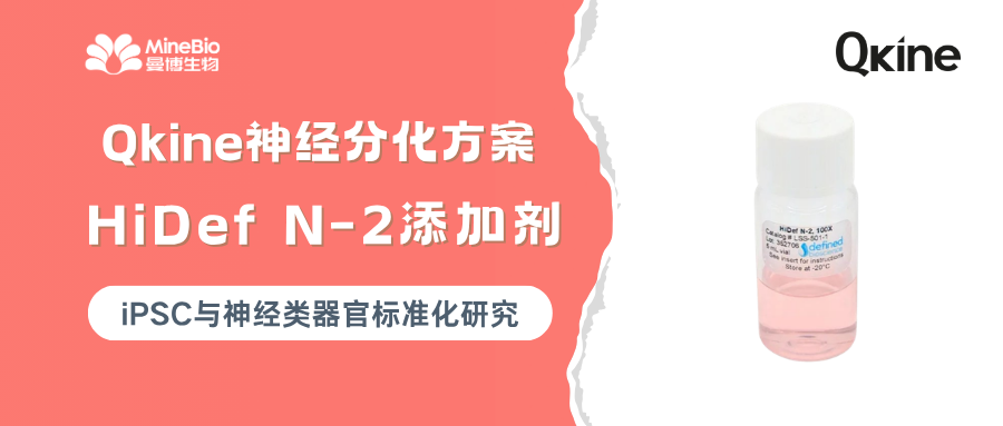 为什么同样的神经分化方案，有的实验室一次成功，有的却总在重复？