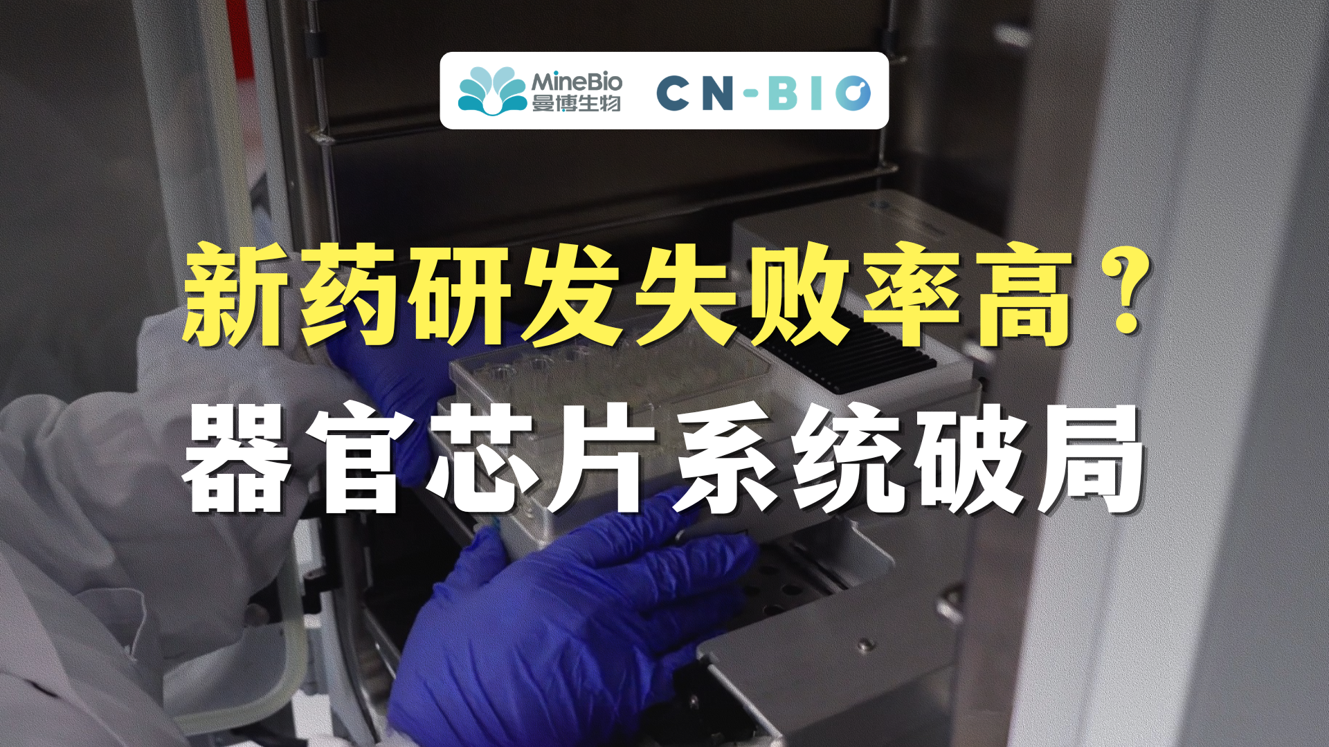 新药研发失败率高？Physiomix器官芯片系统突破2D培养与动物模型局限