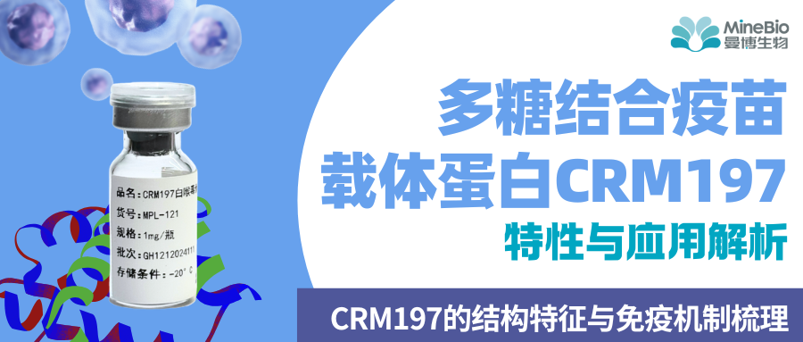 多糖结合疫苗载体蛋白CRM197的特性与应用解析