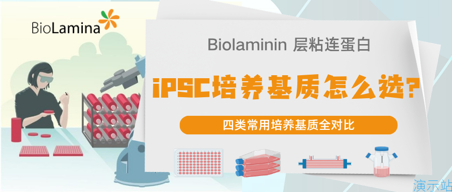 iPSC基质选型指南:Matrigel、VTN、laminin-E8片段与全长层粘连蛋白Biolaminin 521,到底怎么选?