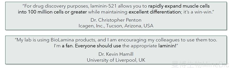 Biolaminin 521全长层粘连蛋白客户成功案例 Biolaminin 521全长层粘连蛋白客户成功案例