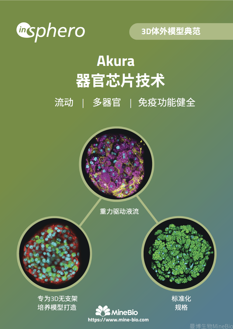 InSphero Akura器官芯片彩页