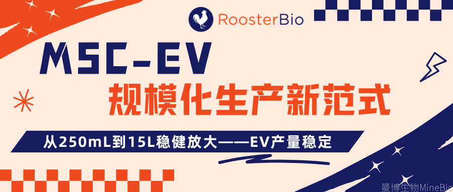 MSC-EV规模化生产新范式:从250mL到15L稳健放大——EV产量稳定