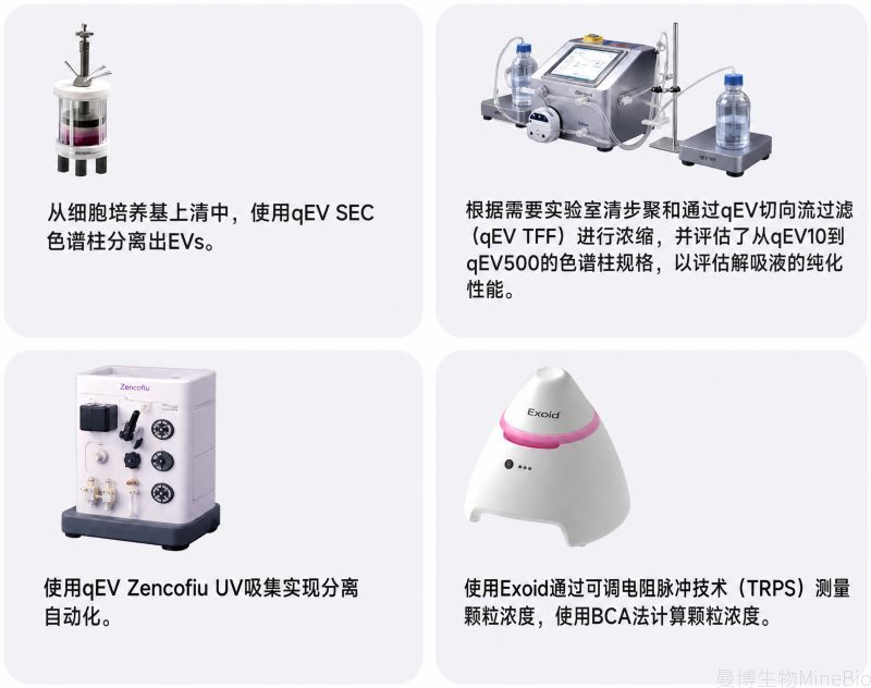 CCM样本的qEV220工作流总览 CCM样本的qEV220工作流总览