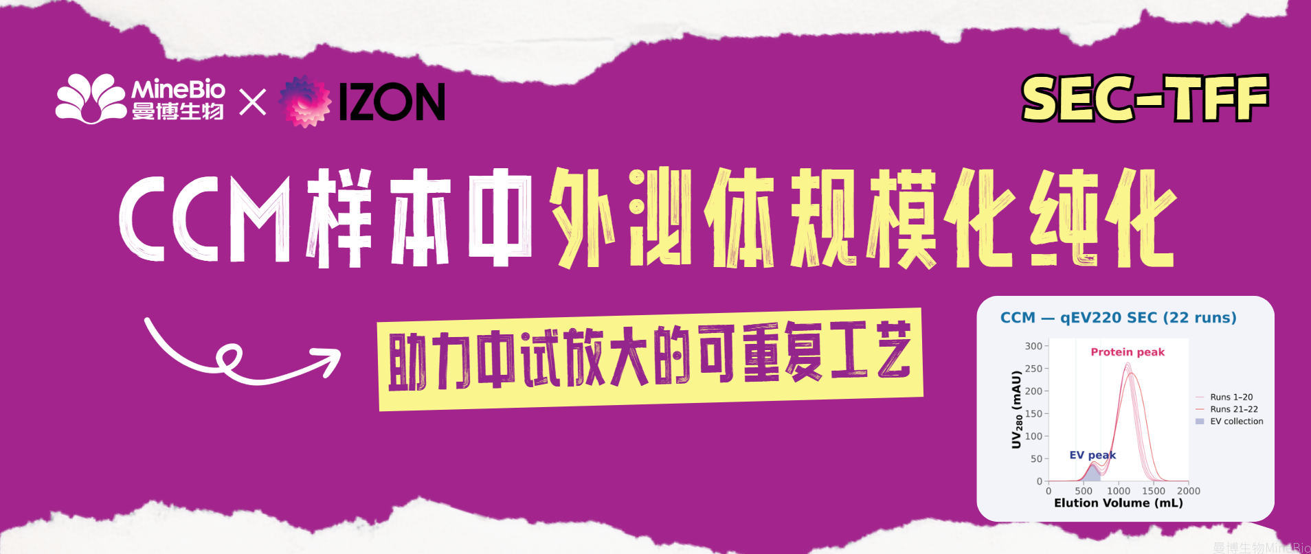 外泌体中试放大|面对CCM样本,SEC-TFF如何交出可重复工艺?