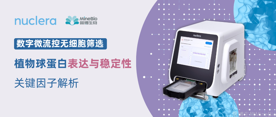 数字微流控无细胞筛选：植物球蛋白表达与稳定性关键因子解析