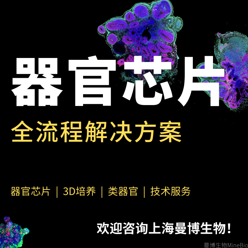 器官芯片