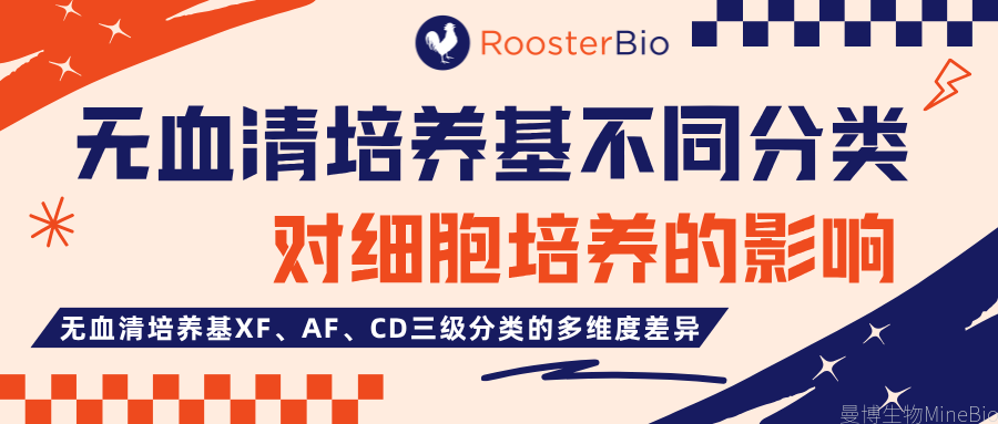 无血清培养基不同分类对细胞培养的影响