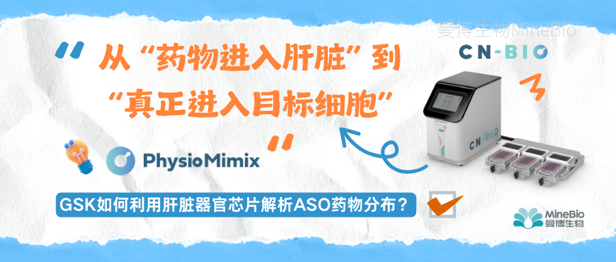 从&ldquo;药物进入肝脏&rdquo;到&ldquo;真正进入目标细胞&rdquo;：GSK如何利用肝脏器官芯片解析ASO药物分布？
