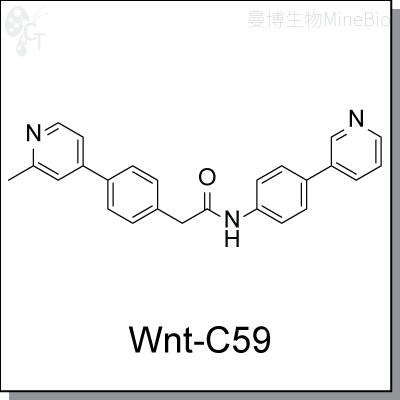 Wnt-C59结构式 Wnt-C59结构式