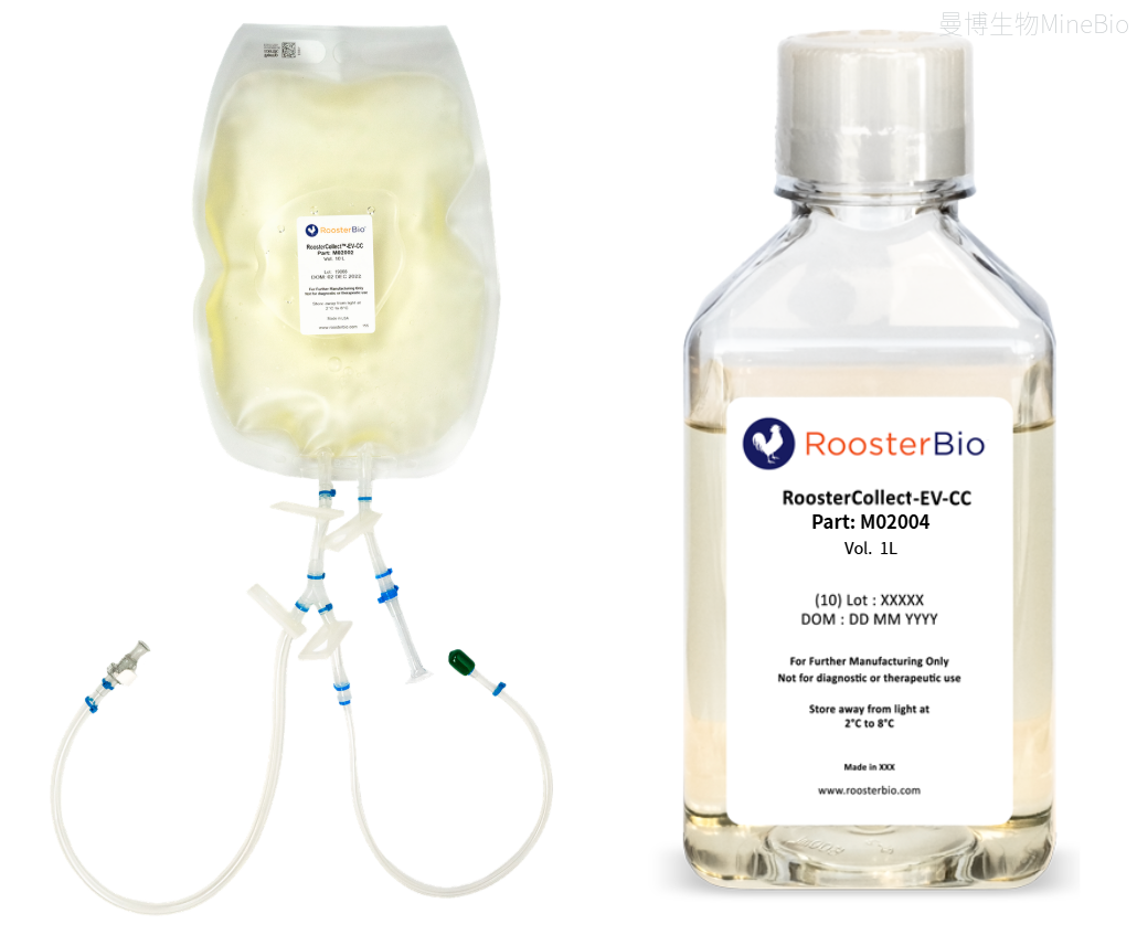 RoosterBio品牌临床级外泌体收集培养基RoosterCollect-EV-CC瓶装/袋装产品图 RoosterBio品牌临床级外泌体收集培养基RoosterCollect-EV-CC瓶装/袋装产品图