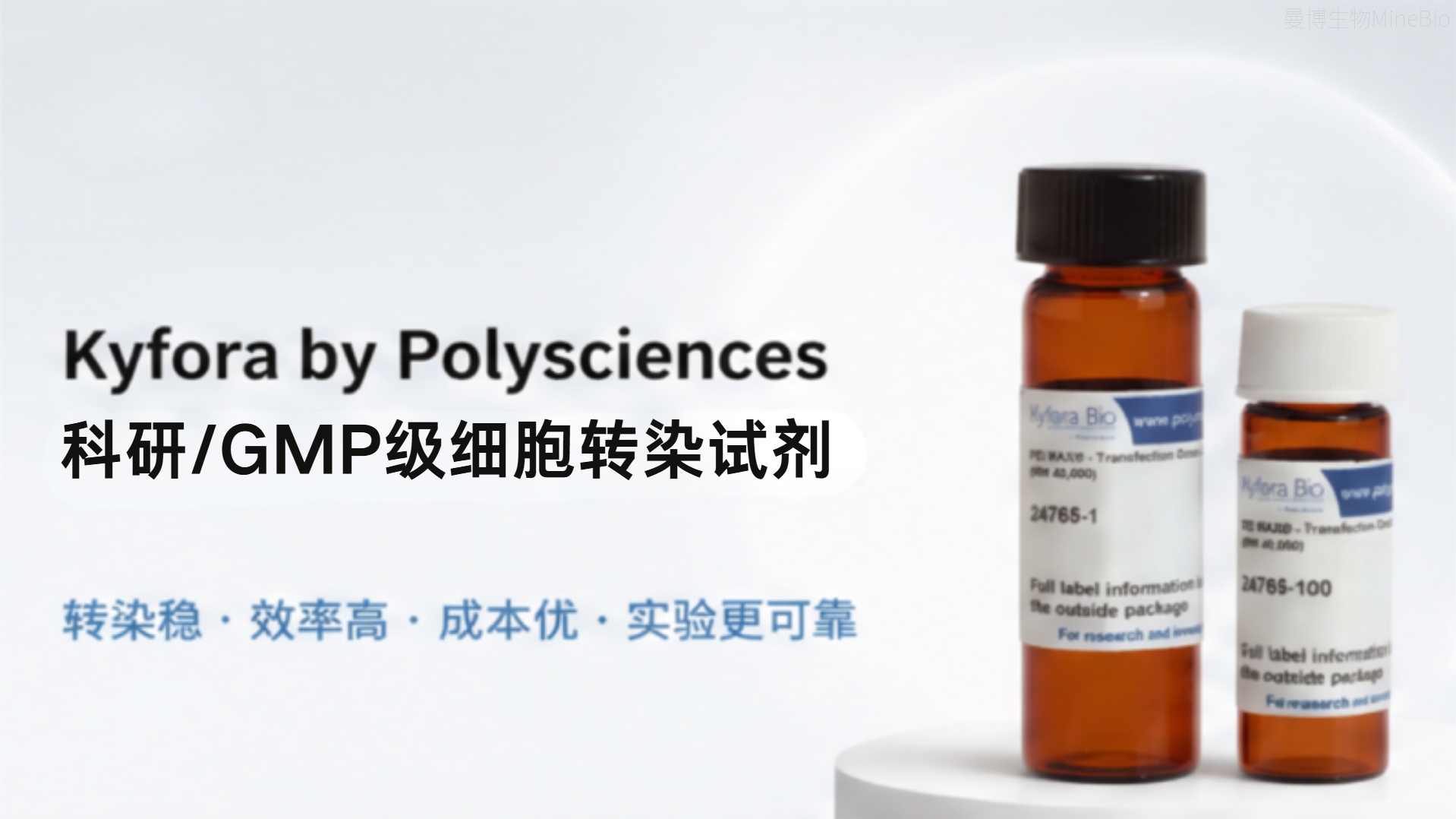 数千篇文献验证的PEI转染试剂：高产低毒，HEK293/CHO等细胞转染优选