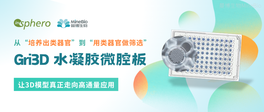 从&ldquo;培养出类器官&rdquo;到&ldquo;用类器官做筛选&rdquo;：Gri3D技术如何让3D模型真正走向高通量应用？