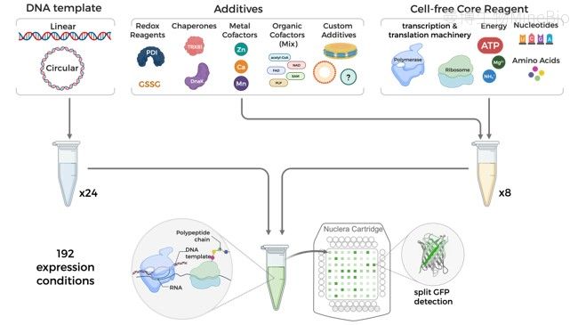 eProtein Discovery数字微流控无细胞蛋白表达条件筛选 eProtein Discovery数字微流控无细胞蛋白表达条件筛选