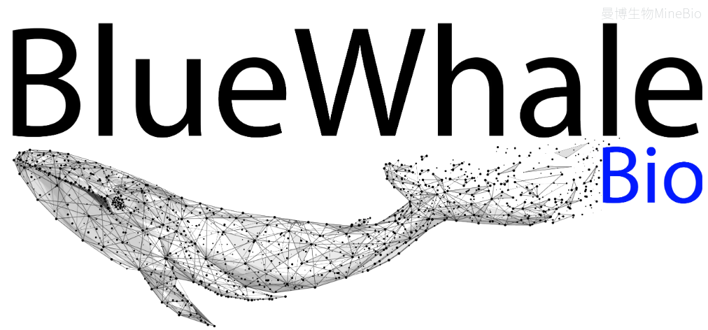 Bluewhale 仿生 T 细胞激活与扩增纳米制剂 Bluewhale 仿生 T 细胞激活与扩增纳米制剂