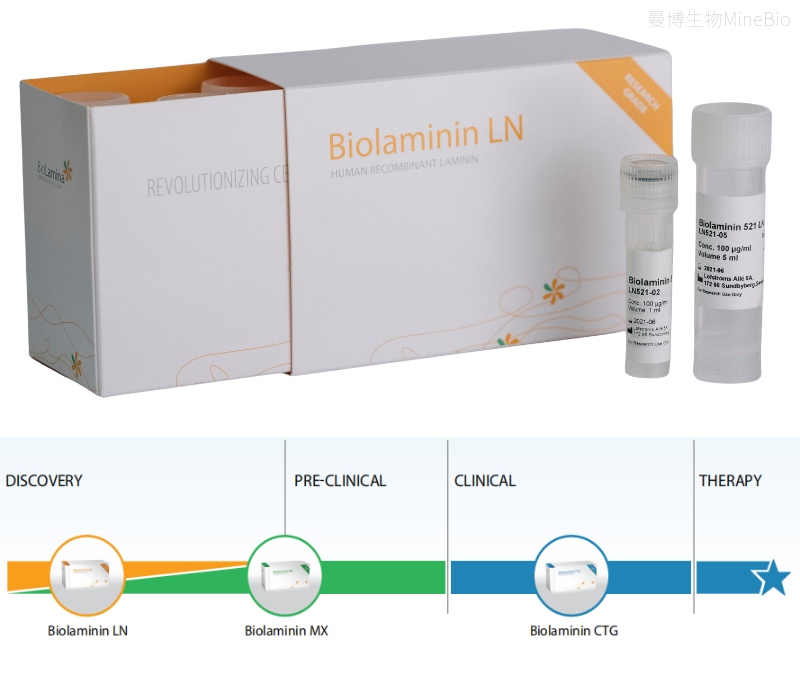 BioLamina 人重组层粘连蛋白 BioLamina 人重组层粘连蛋白