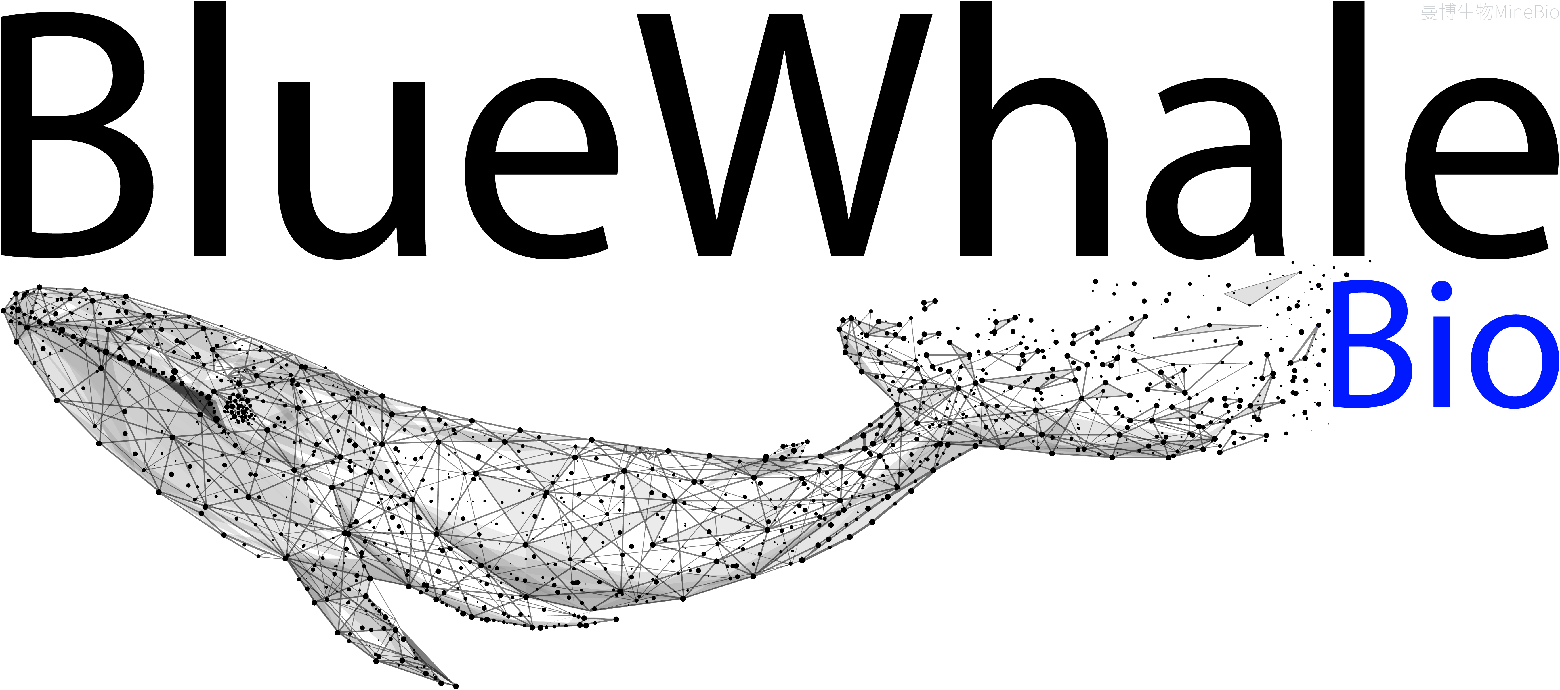 BlueWhale Bio T细胞激活试剂