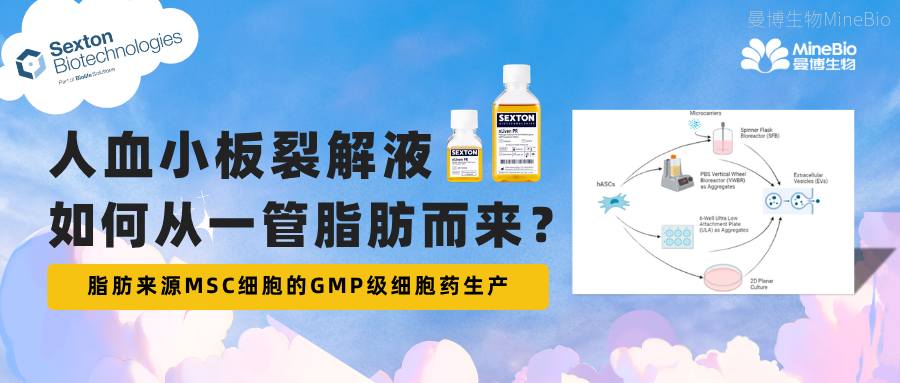 ​GMP级「现货」细胞药，如何从一管脂肪而来？