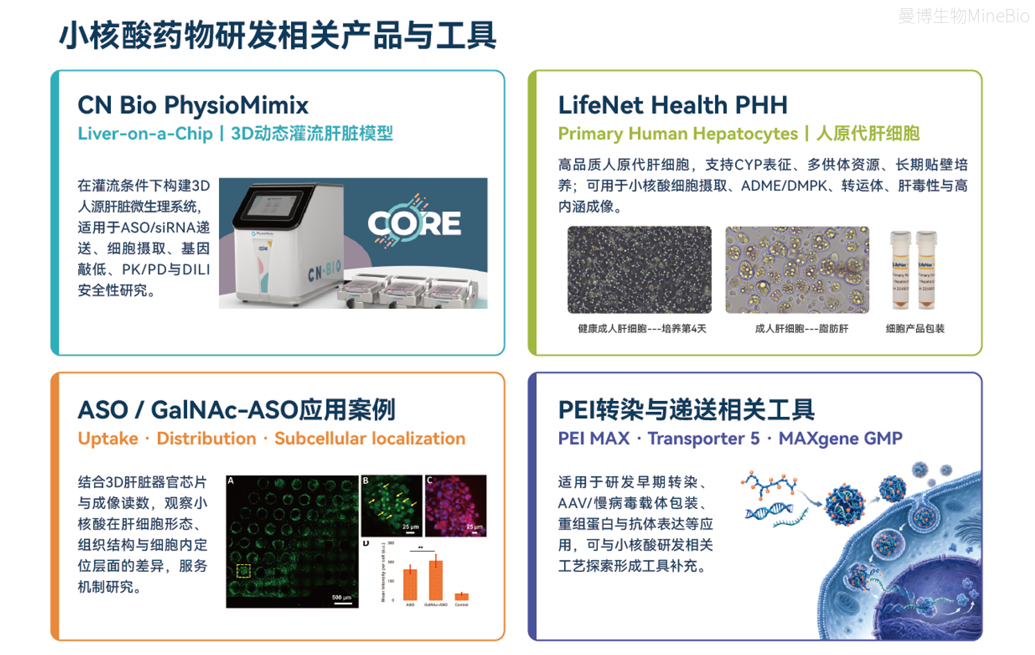 小核酸药物研发相关产品与工具 小核酸药物研发相关产品与工具
