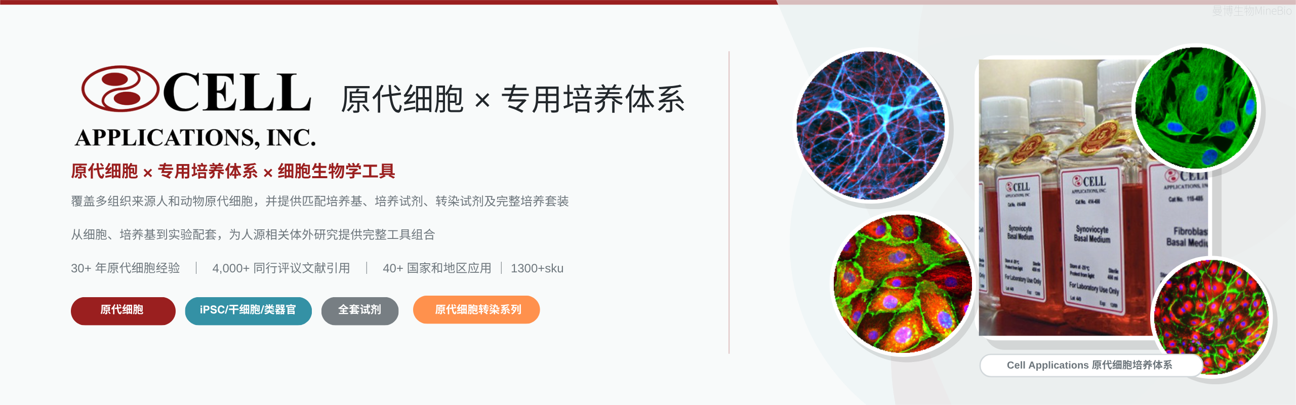 新品官宣：原代细胞培养体系
