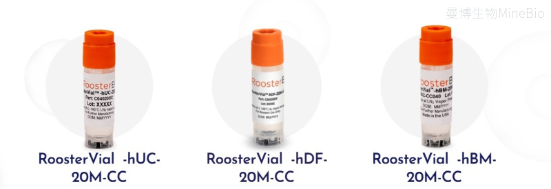 RoosterBio cGMP CliniControl临床级细胞库