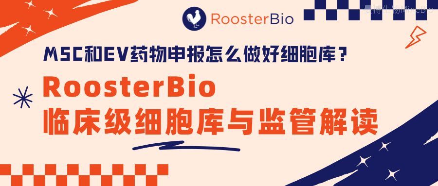 MSC和EV药物申报怎么做好细胞库?RoosterBio临床级细胞库与监管解读