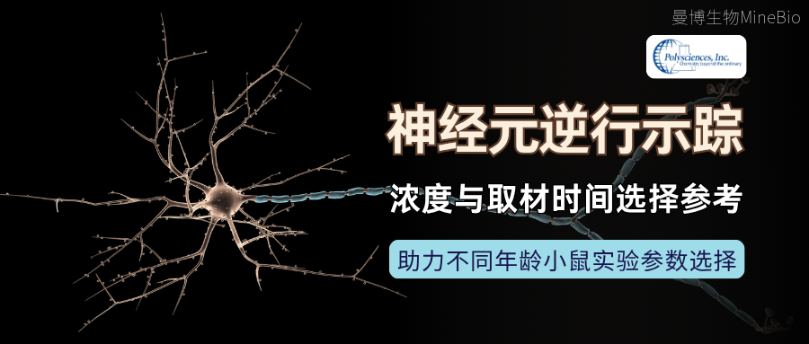 Fast Blue神经元逆行示踪：浓度与取材时间选择参考