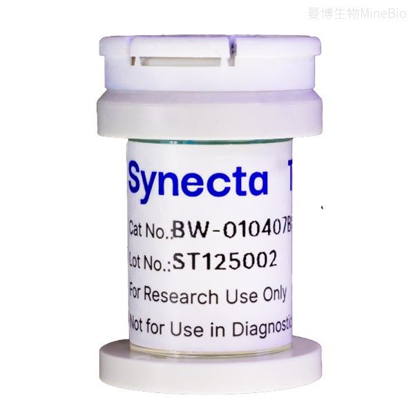 Synecta T1细胞衍生纳米颗粒