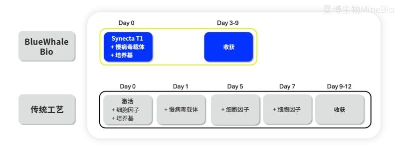 Synecta T1与传统方法激活T细胞的步骤示意图