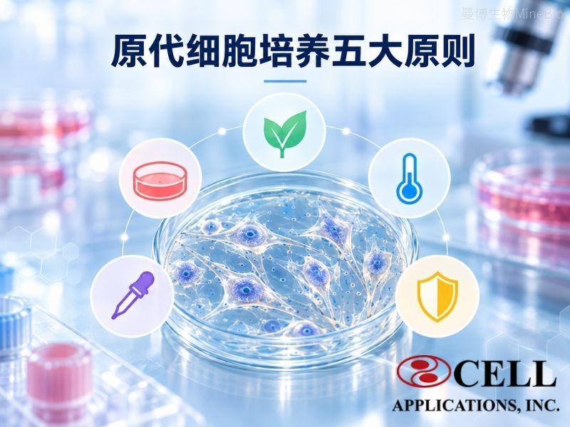 原代细胞培养五大原则