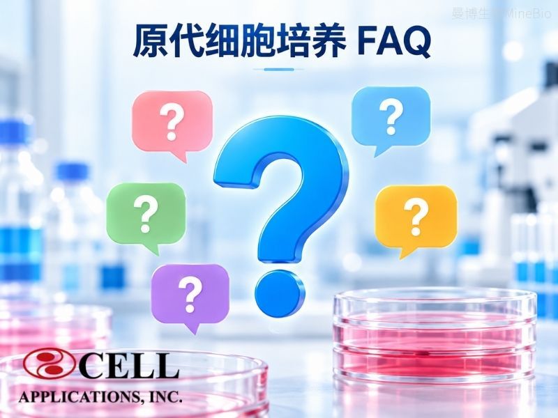 原代细胞培养 FAQ