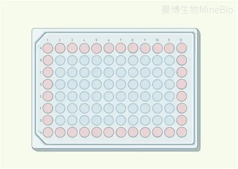 孔板边缘效应 孔板边缘效应