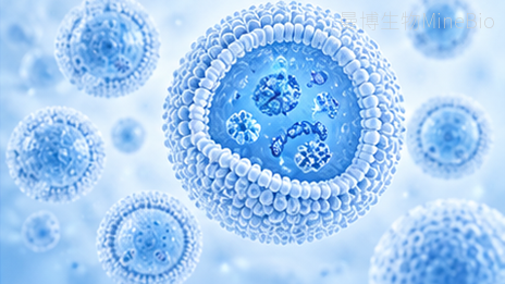 外泌体exosome