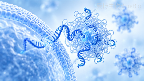 Transfection转染试剂解决方案