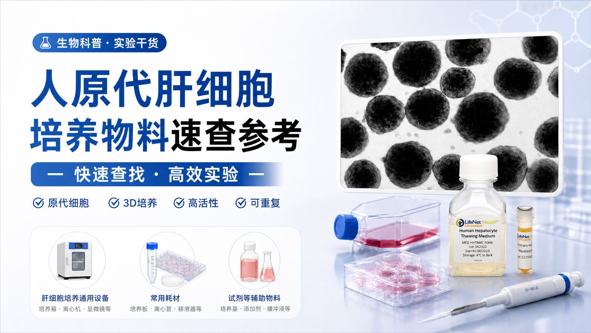 人原代肝细胞培养需要用到哪些物料？人肝细胞培养操作参考