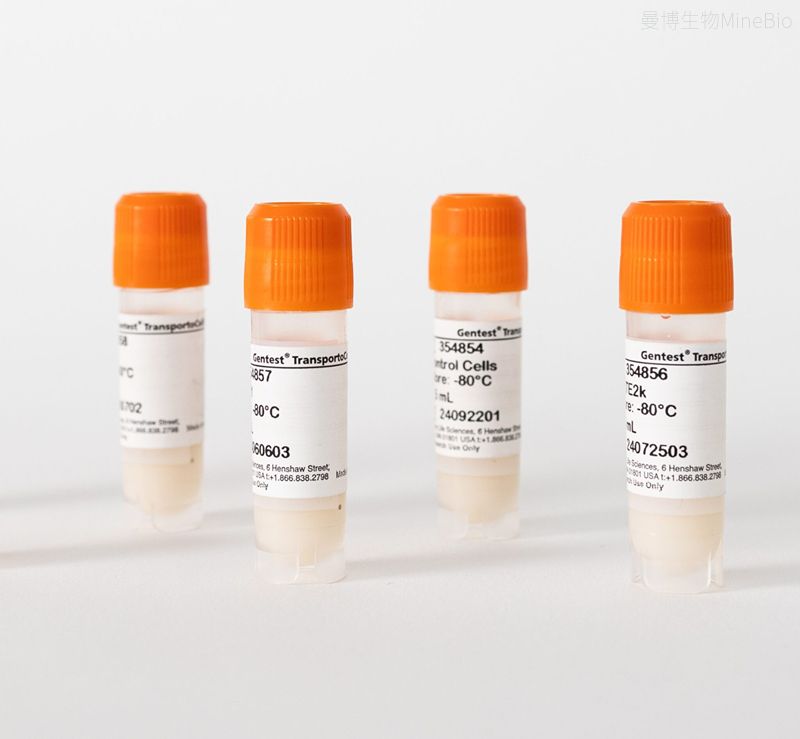 Gentest TransportoCells膜囊泡产品照片