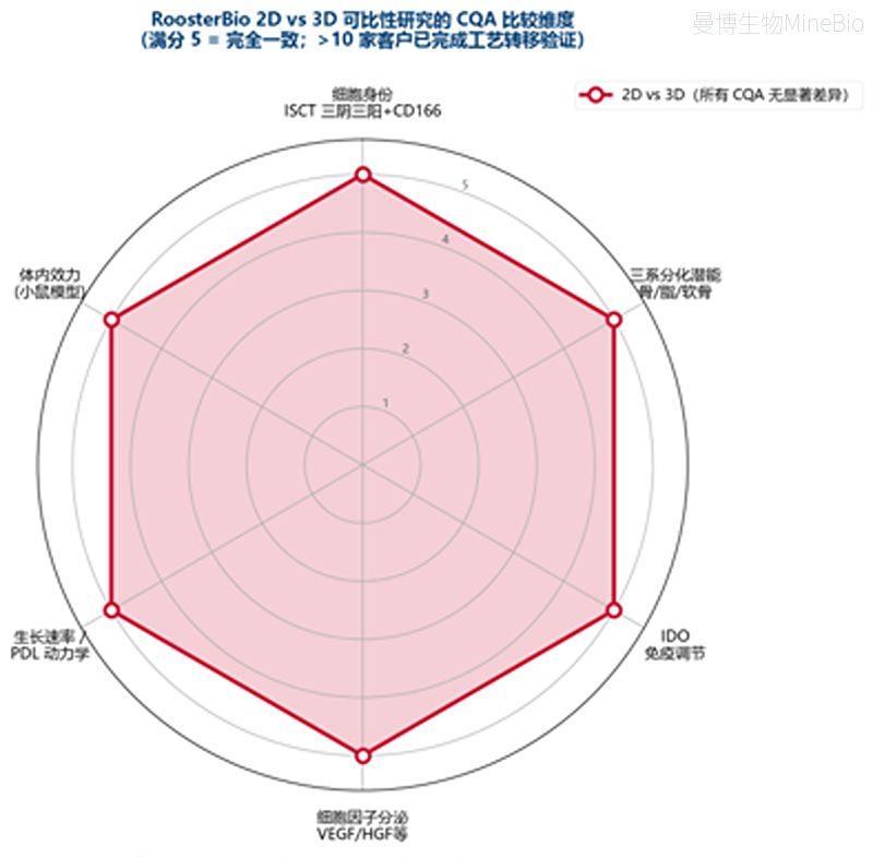 RoosterBio 2D vs 3D可比性研究的CQA比较维度 RoosterBio 2D vs 3D可比性研究的CQA比较维度