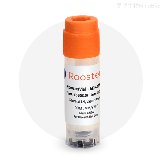 RoosterBio人源间充质干细胞库（RoosterVial系列细胞库）